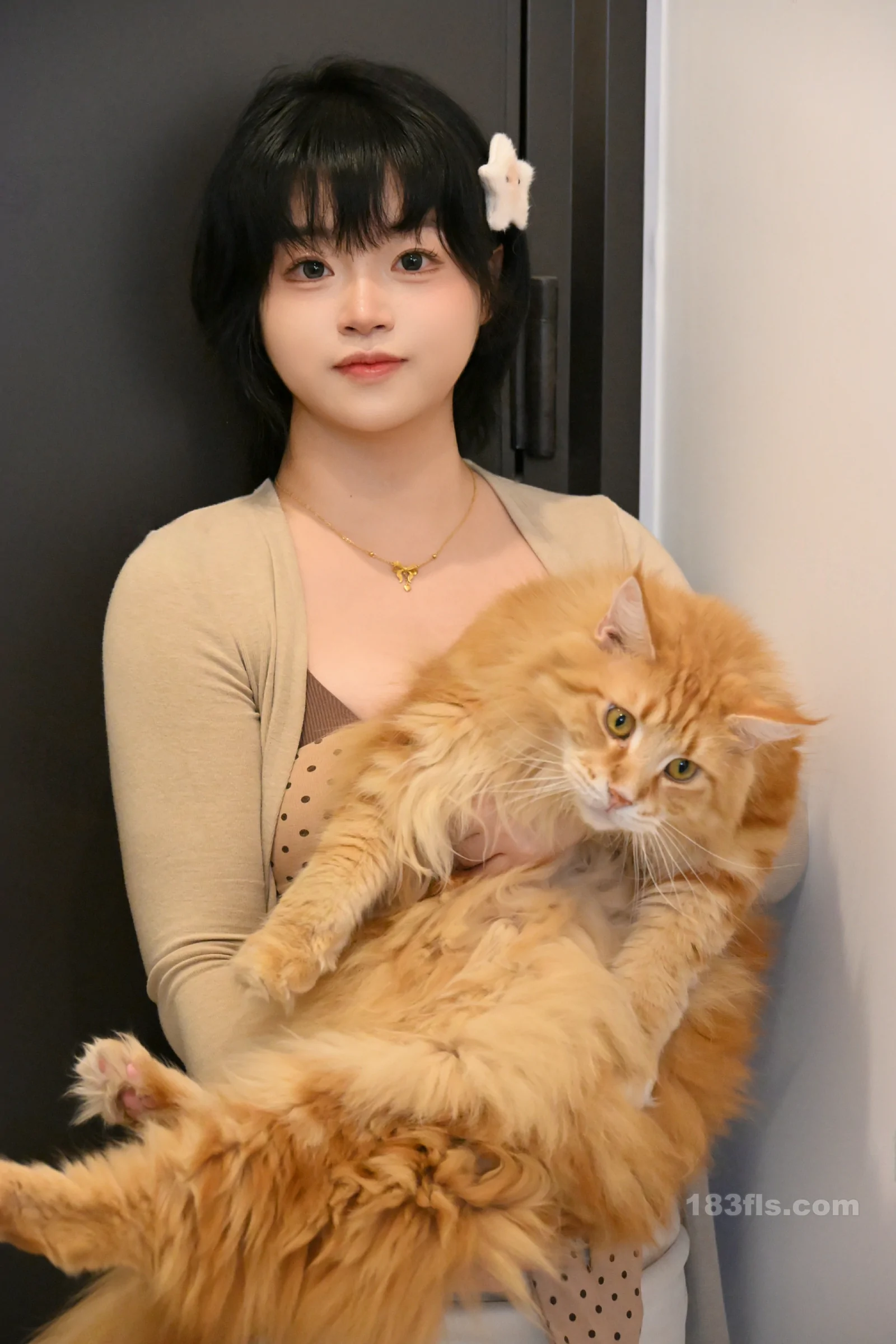 Gallery -         一只毛毛帽 – 2026年02月月票 - 妹妹美 - Sister Beauty -        - image 3